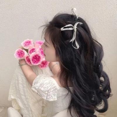 婀娜公主
